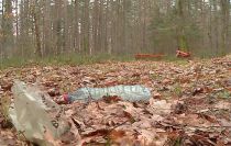 Problem śmieci w lasach wciąż powraca